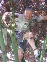Jörg Lenhard klettert im Baum.